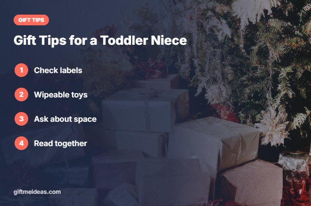 Best Gifts for Toddler Niece tips