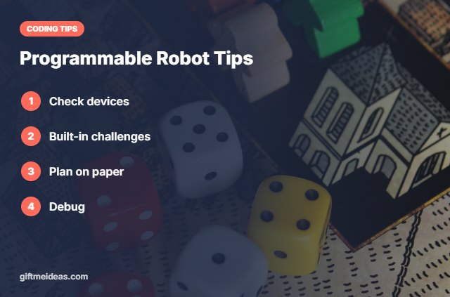 Best Programmable Robot for Kids tips