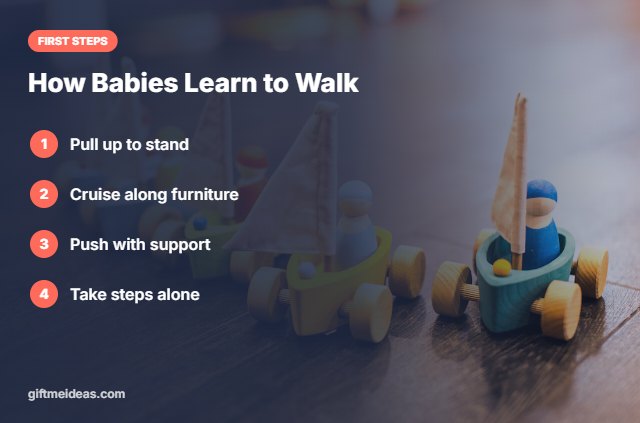 Best walker for babies learning to walk stages